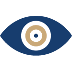 Vision